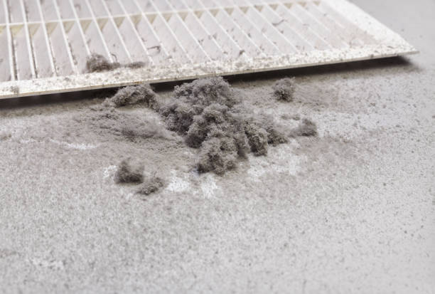 Best Air Duct Cleaning Near Me  in Trucksville, PA