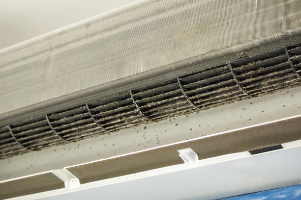 Best Air Duct Cleaning Near Me  in Trucksville, PA