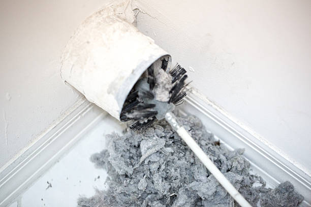Best Local Air Duct Cleaning Services  in Trucksville, PA